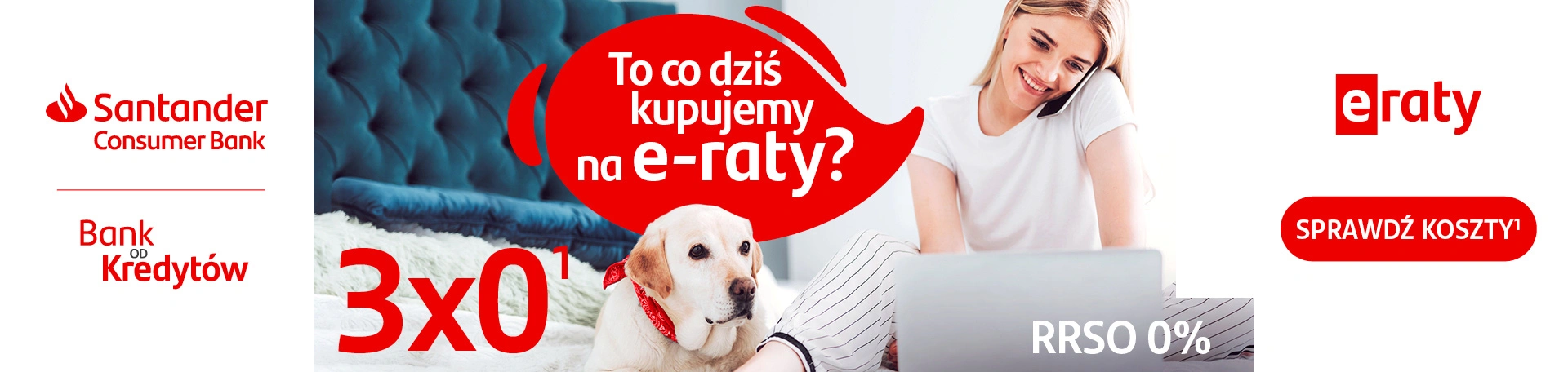 Baner Santander